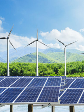 商務(wù)顧問 招聘